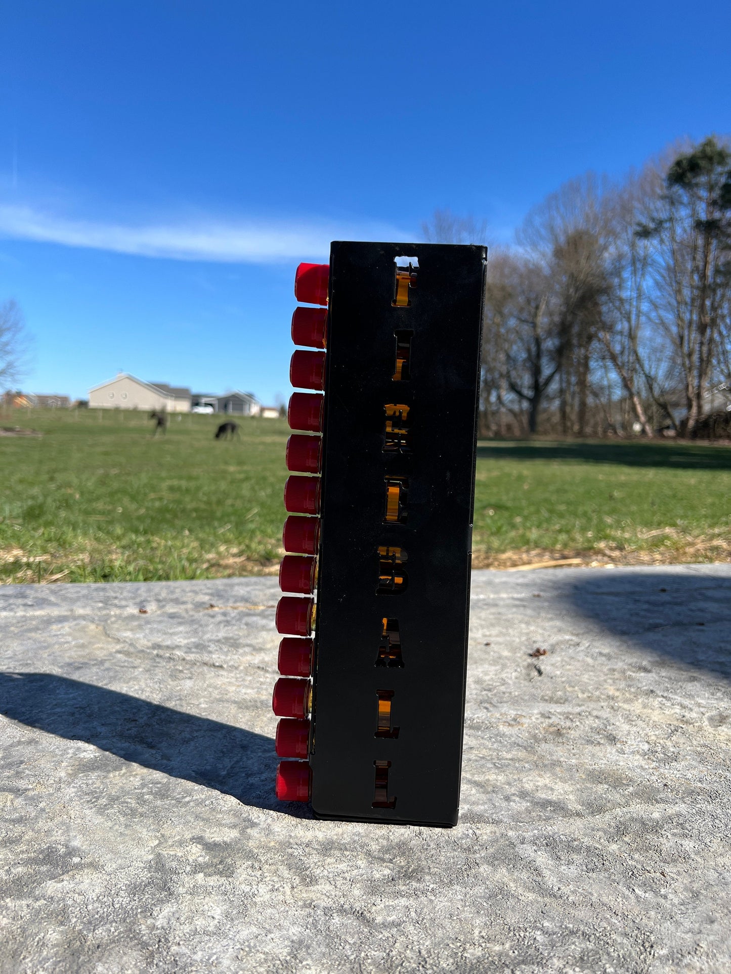 Fireball Shot Dispenser, Shot Dispenser, Fireball, Whiskey Dispenser, Alcohol Dispenser, Fireball Holder, Shot Holder, Whiskey Holder